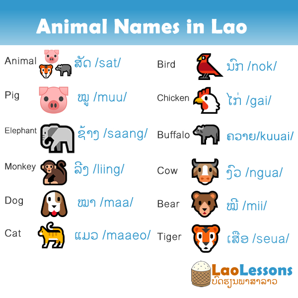 Animal Names in Lao