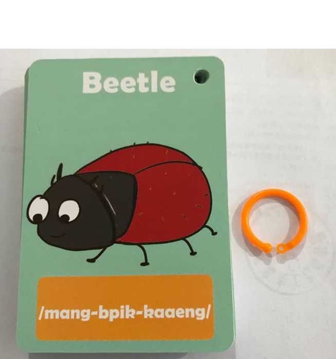 Animals and Insects Ring Flash Cards – Lao Lessons