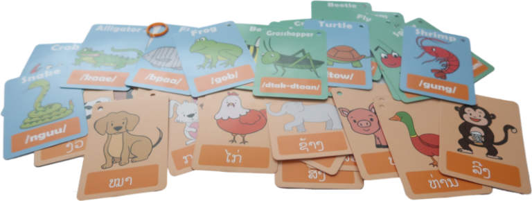 Animals and Insects Ring Flash Cards – Lao Lessons